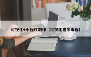 枣阳可视化+小程序制作（可视化程序编程）